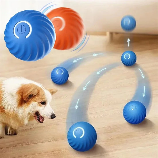 Electronic Interactive Pet Toy